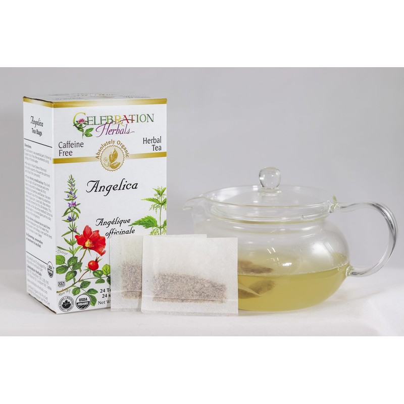 CELEBRATION HERBALS Angelica Root Organic 24 Bag, 0.02 Pound