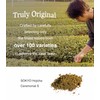 SOKYO ceremonial hojicha roasted powdered green tea Japanese hojicha (1.05oz