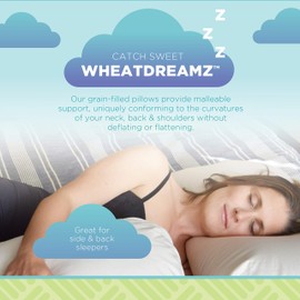 WheatDreamz 13" x 18" Travel / Toddler Pillow - Organic Cotton Zippered Shell Filled with Organic Millet - Made in USA