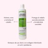 Shampoo Biohidratante Vittalé