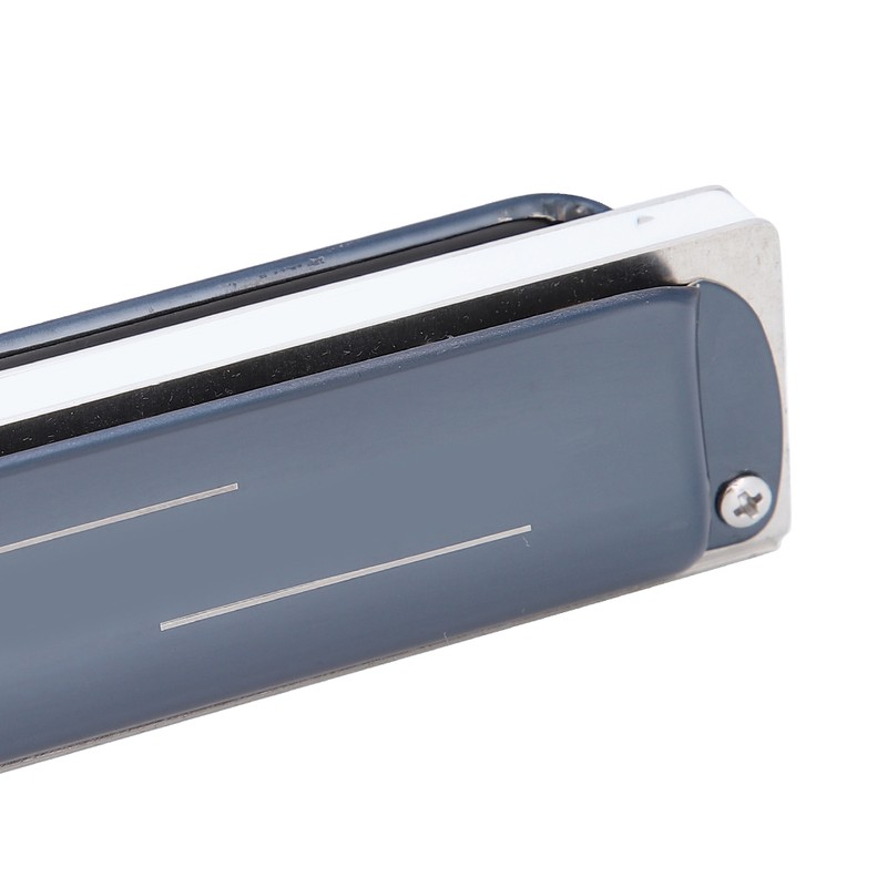 Blues Harp Harmonica 10‑Hole Professional Mouthorgan G Key Gifts Stainless