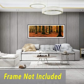 Niwo ART - Beech Trees - Beautiful Natures, Removable Wall Sticker | Self-Adhesive Wallpaper (72"x24")