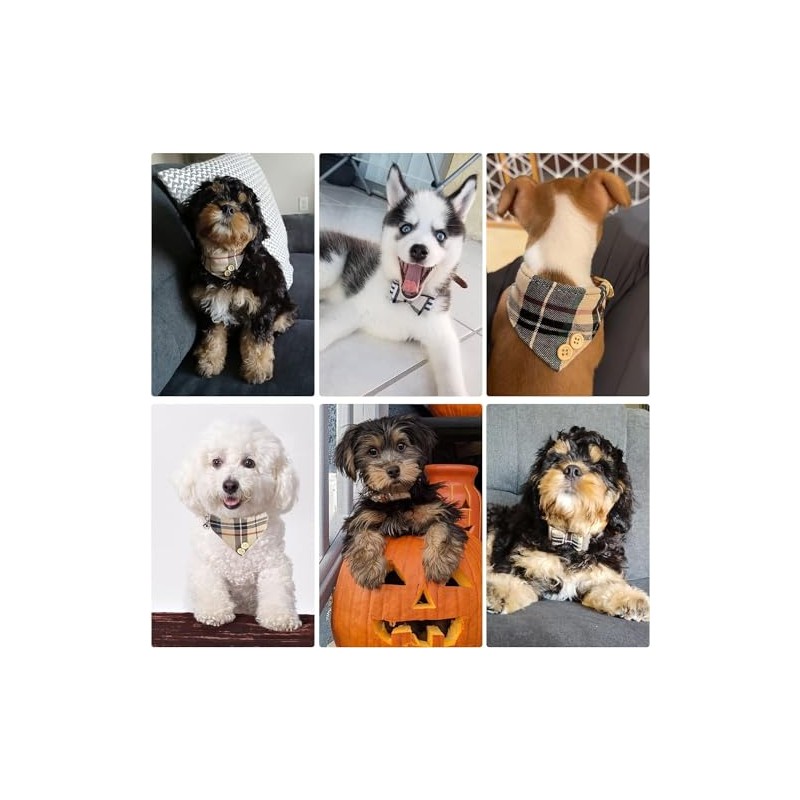 KOOLTAIL- Conjunto de collar y correa para perros pequeños con