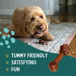 Gnawturals Rawhide Free Dog Chews | Ribbed Bones | for Medium - Large Dogs | Pumpkin, Psyllium Husk and Chicory Root for Easy Digestion and Overall Gut Health (5 Bones, Pumpkin)