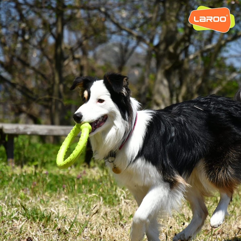LaRoo Dog Flying Ring Toys, Floating Flying Disc ABS Durable