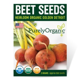 Purely Organic Golden Detroit Beet Seeds - Approx 500 Seeds - USDA Organic, Non-GMO, Open Pollinated, Heirloom, USA Origin