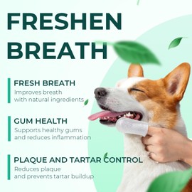 xuepett Dog Teeth Cleaning Wipes 50 PACK, Reduces Plaque and Freshens Breath, Dog Dental Wipes Dog Tooth Brushing Kit, No-Rinse Dog Toothbrush Finger Wipes Dental Care for Dogs Cats