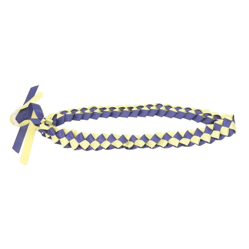 2Pcs Ribbon Leis Double Braided Necklace Graduation Congrats Accessory for