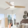 Modern Ceiling Fans with Lights, 42 Inch Ceiling Fan with