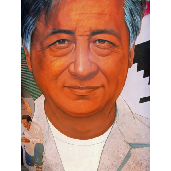 Cesar Chavez POSTER 24 X 36 INCH Mexico History Revolution