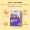 HICC PET Cleaning Deodorizing Glove Wipes for Dogs & Cats,