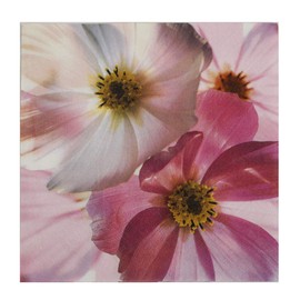 Premium Collection by Jean Pack of 20 Napkins Spring Pink Lady