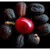 Premium Coffee Cascara - Dried Coffee Shells Husk Premium- Ecuadorian