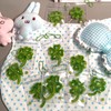 Clover Pipe Cleaner DIY Kit, Makes 10 Complete Lucky Crafts
