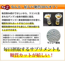 琥金醗酵ウコン粒 30包入 約1ヶ月分×3箱 沖縄ウコン堂 琉球王朝時から伝わる泡盛の製造技術を応用