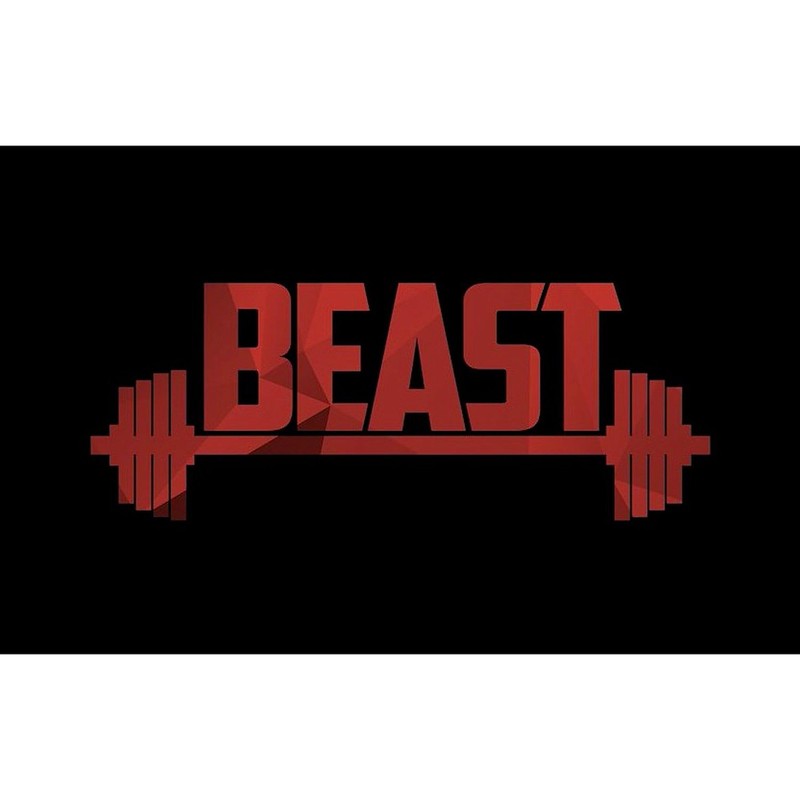 CafePress Beast Red Rectangle Bumper Sticker Car Decal