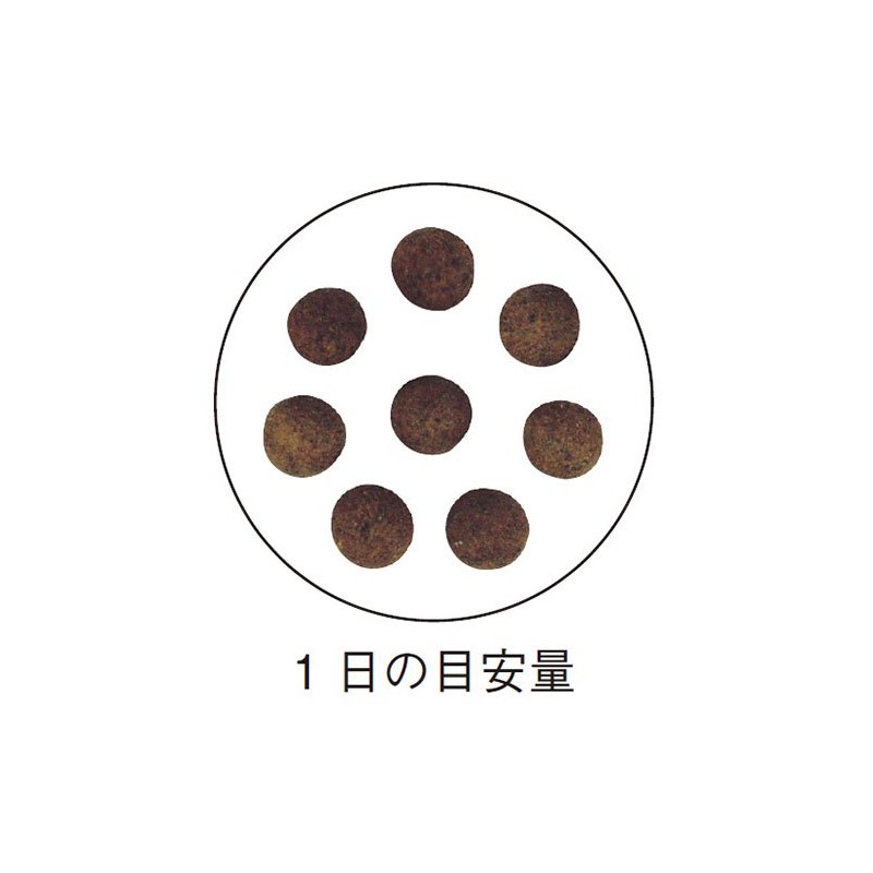 INSHIP Noto Oyster Extract Granules Approx. 113 mg x 260
