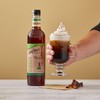 DaVinci Gourmet Naturals Irish Cream Syrup, 25.4 Fluid Ounce (Pack