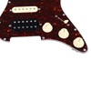 Electric Guitar Pickguard Plastic and Mental Electric Guitar Loaded Pickguard