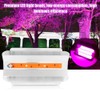 220V 50W Indoor Plants COB LED Growing Light Full Spectrum