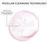 Garnier SkinActive Micellar Cleansing Water, For All Skin Types, 3.4