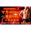 たっぷり濃縮マカ亜鉛+冬虫夏草 360粒 約6か月分