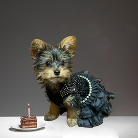 MuYaoPet Pet Bling Black Dog Party Dress for Cat Dog Tutu Skirt Dog Wedding Dress Outfits Apparel Summer Dog Shirt Clothes (Medium, Black)