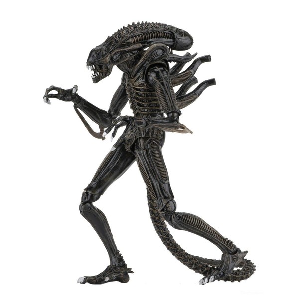 NECA - Alien- 7" Scale Action Figures - Ultimate Warrior