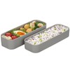 Iwasaki Industries B-1484 GN Lunch Box, 3-Way Slim, Easy Care,