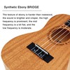 EASTROCK Concert Ukulele Mahogany Beginner 23 inch Ukelele Big Package
