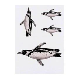 4 x 'Swimming African Penguin' Temporary Tattoos - Water Resistant, Skin-Safe, Non-Toxic Transfers, Mixed Sizes (TO00085248)