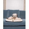 Dog Gone Smart Sleeper Cushion, Small, Pebble Grey