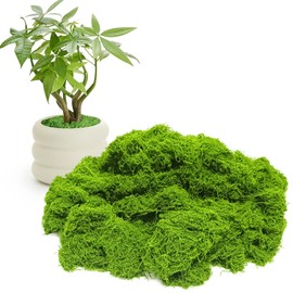Fake Green Moss,7oz Artificial Moss for Crafts,Faux Mosses for Plants Indoor,Green Mosses for Decorating,DIY Decorative, Fairy Garden, Wedding Party Decor,Model Making (7, Ounces)