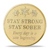 Sunlit Snow Deer Sobriety Coin | Stay Strong Sober AA