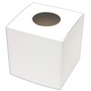 Sasagawa Big Lottery Box, White, Large Size, 10.6 inches (27