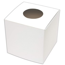 Sasagawa Big Lottery Box, White, Large Size, 10.6 inches (27 cm) Square, 37-7916