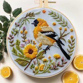 Huacan Embroidery Kits for Beginners, DIY Embroidery Starter Kit with Animal Pattern Instruction (Bird)