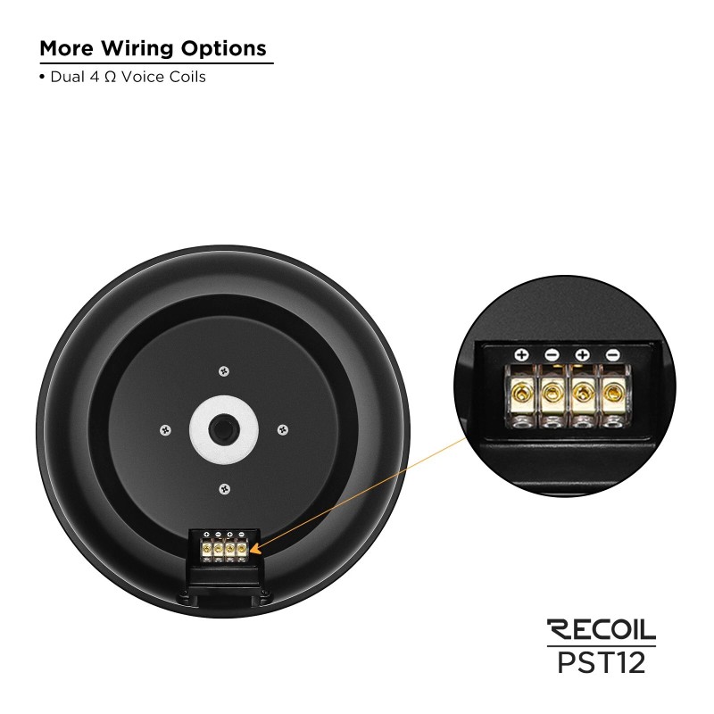 Recoil PST12 Hidden 12” Passive Car Audio Spare Tire Subwoofer