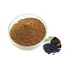 Black Bean Extract Powder 100g Sample Sample