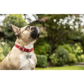 Brother TZe-PR935 Labelling Tape Cassette, Black on Premium Silver, 12 mm (W) x 8 m (L), Laminated, Brother Genuine Supplies