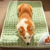 Pet Dog Bed Mat Dog Mat Plush Pet Mat Protect