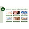 Chios Mastiha Tears Gum griego 100 % natural Mastic Packs