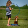 Cato Board - Dog Training Platform (Blue, Rubber Surface)