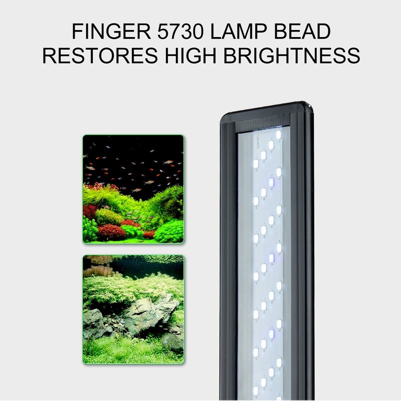 Aquarium Light Professional High Brightness Blue White Lighting Fish Tank