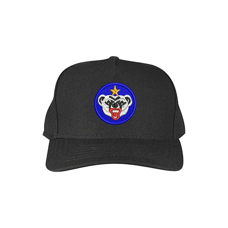 Alaska Defense Command Custom Embroidered Cap Black