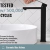 Bathroom Sink Faucet, Matte Black Tall Vessel Sink Faucet, Single