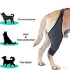 Qcwwy Dog Knee Braces for Hind Leg, Dog Hind Leg