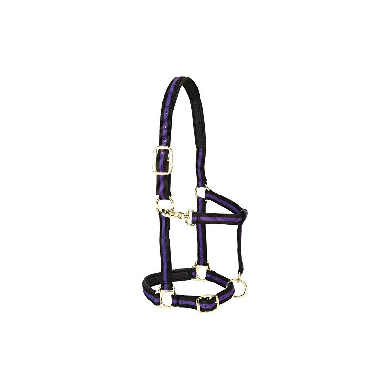 Weaver Leather Padded Adjustable Nylon Horse Halter, Purple, 1" Small