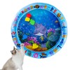 Inflatable Water Sensory Play Mat for Cats & Dogs –