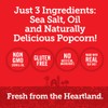 Popcorn Indiana Sea Salt Popcorn - Family Count - 4.75